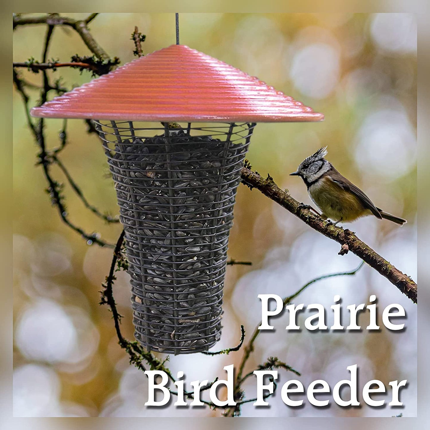 Byer of Maine Prairie Sky Bird Feeder for Outside, Easy to Refill and Clean, Coated Wire Sunflower Seed Outdoor Bird Feeder, Glossy Glazed Ceramic Roof, 3lbs
